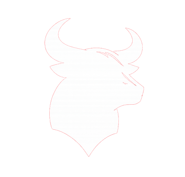 Logo Bovisoft